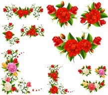 Rose Plant Flower drawing