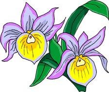 Clip Art Flowers 274191