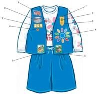 Geneva Girl Scouts &187 Daisy Uniform &ndash; Placement Of Patches And