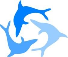 Light Blue Dolphin At Clkercom Vector Online