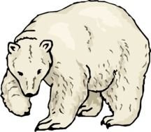 clipart of the white polar bear