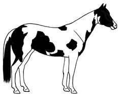 drawing of a black and white horse