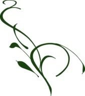 green flower vine on a white background