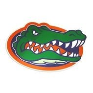 crocodile head drawn