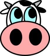 cartoon Cow Face drawing
