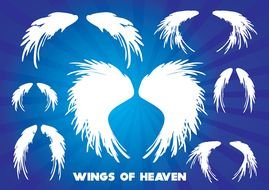wings of Heaven drawing