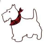 Scottie small white Dog drawing