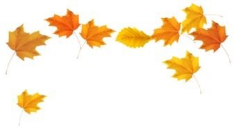 Clipart illustration of the autumnal leaves