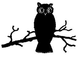 silhouette of a perched owl