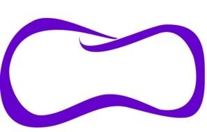 Elegant Purple border