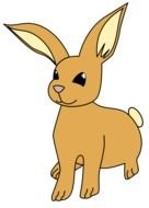 Cute brown Animals drawing