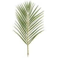 Search Results For Palm Leaf