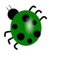 green ladybug for clipart