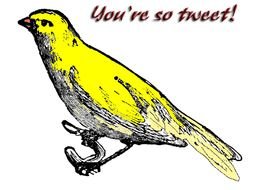 Saturated Canary Digital Stamps