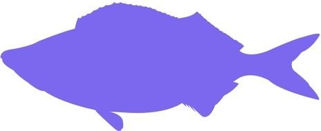 Telescope Fish drawing