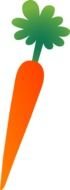 Large Orange Carrot drawing