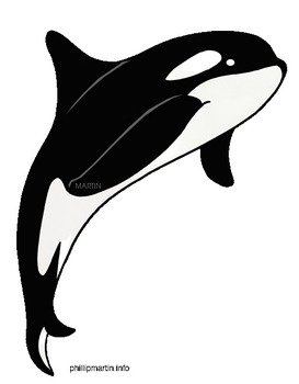 Back &gt Gallery For Killer Whale clipart