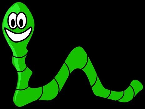 Inchworm By Artonymous A Of Cute Green Worm