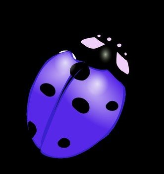 Ladybug Vector N4