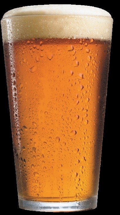 Beer Is Proof drawing