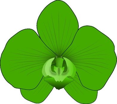 Green Orchid At Clkercom Vector Online Royalty