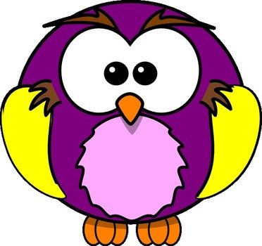 owl N91