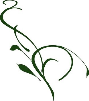 green flower vine on a white background
