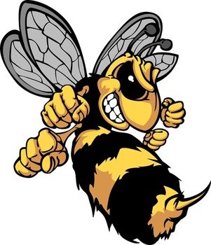 Wasps Afternoon Drive