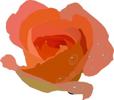 Download This The Soft Coral Peach Petals Beautiful Flower Are