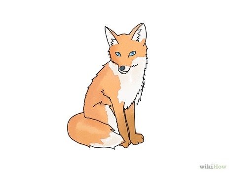 Draw A Fox Step 18 Version 2jpg