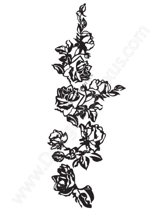 V15 Free Rose Vine Vector Graphic Border Designers