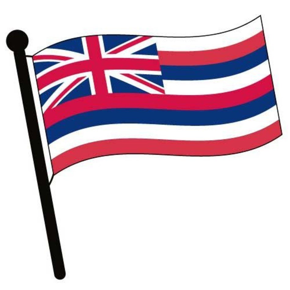 Hawaii Waving Flag American Pictures Accessories