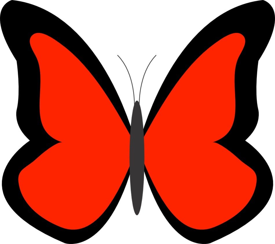 red Borboleta Escarlate clipart drawing