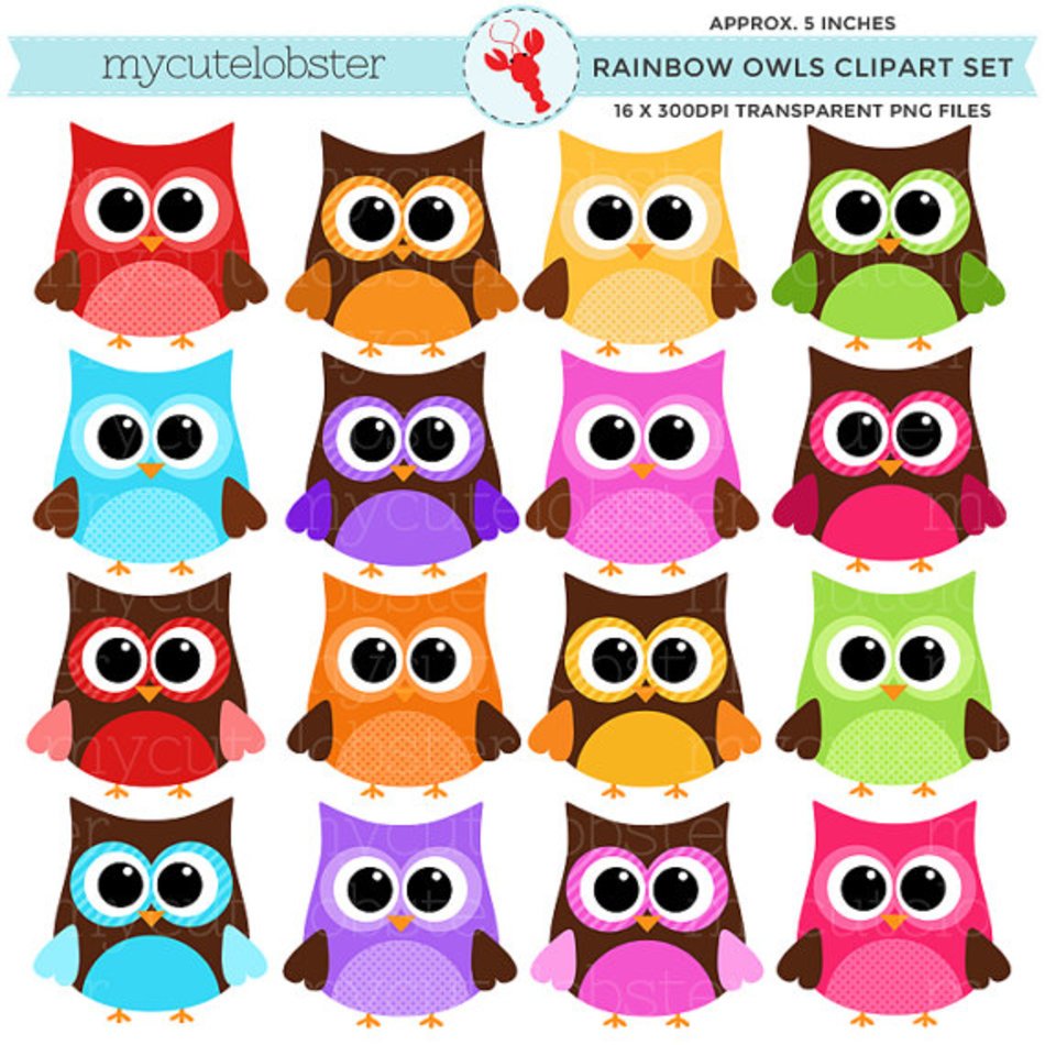 Rainbow Owls Set Of Bold Patterned