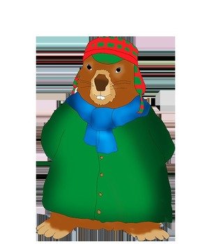 Winterdressed Groundhog