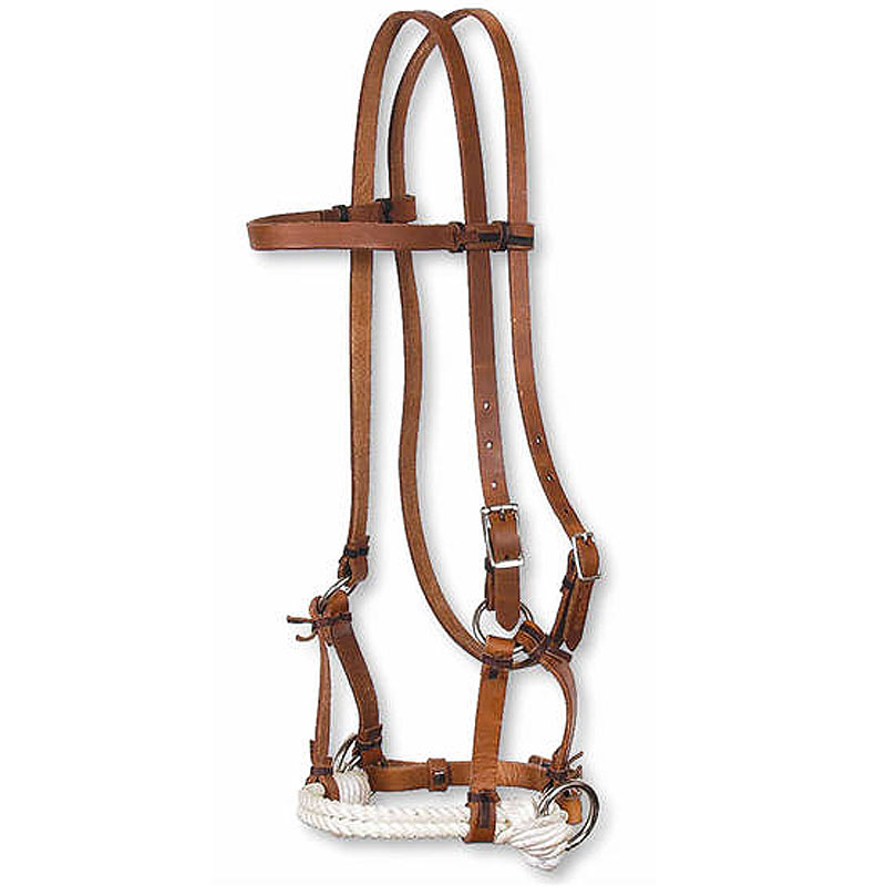 Halter on a white background free image download