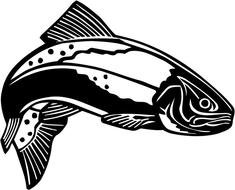 trout N8