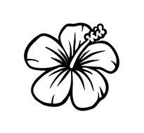 Hibiscus Colouring Pages drawing