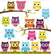 Patchwork Owls And Vectors Illustrations On Creative Market