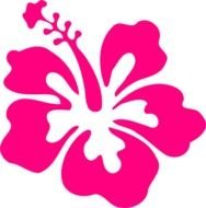 Hibiscus Fuschia At Clkercom Vector Online