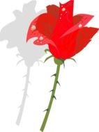 clipart of the red rose and silhouette