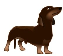 dog taxa drawing