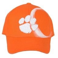Tigers Paw Images drawing