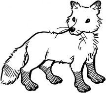 Fox Coloring Free Page Site