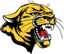 Cougar Basketball logo