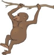 Free To Use &amp; Public Domain Monkey Page 2 clipart