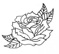 Rose Drawing Outline Top General Review Kreview Reviews