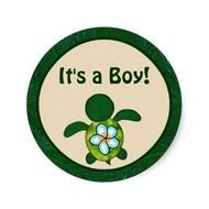 Baby Shower Turtle Boy Sea