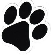 one black paw drawing
