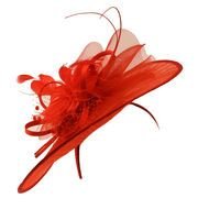 red hat with feather